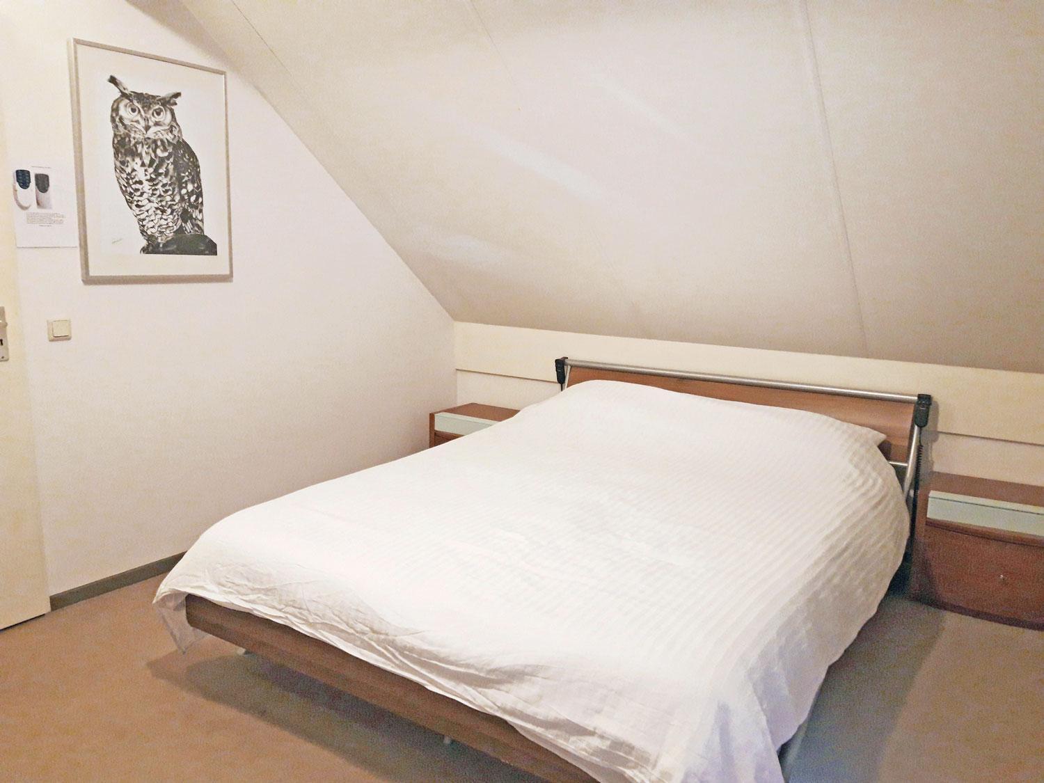 Hotel Vakantiepark 'T Broeckhuys Ewijk Pokój zdjęcie